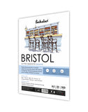 Scholar A5 Bristol Paper Loose Sheets - 300 gsm (20 Sheets) (BRPL2)