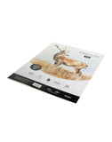 Scholar Watercolour Paper 300 gsm Cold Pressed A3 5 Sheets (WCL3) (Set of 2)