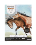 A5 Watercolour Hot Pressed Pad - 300 Gsm (Glued) (HPR2) (Set of 2)