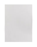 Scholar 100% Cotton Watercolour Paper 300 gsm Rough Grain A6 20 Sheets (PRL1) (Pack of 2)