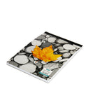 A5 Zafiro Writing Pad 80 Leave (Pack of 5)  (SWP8)