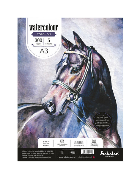 A3 WATERCOLOUR LOOSE SHEETS - TORCHON (ROUGH) (300 GSM) (WRL3) (Set of 2)